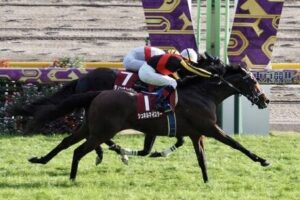 【競馬予想】[2]第54回読売マイラーズカップ(GⅡ)