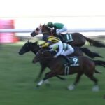 【福島牝馬ステークス2023】結果・動画/ステラリアが接戦を制し重賞初制覇