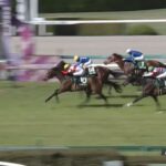 【アーリントンカップ2023】出走予定馬・騎手/この距離を主戦場に