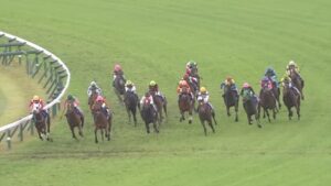 【皐月賞】ルメール騎手のジョッキーカメラ　他