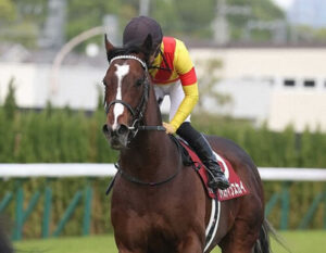 【マイラーズC】ジャスティンスカイ川田「色々考えるあまりポジションの悪い競馬に」