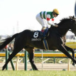 【競馬予想】[2]第30回青葉賞(GⅡ) /2023