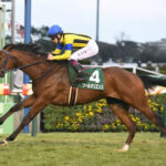 【皐月賞】ソールオリエンスに不安要素がない件