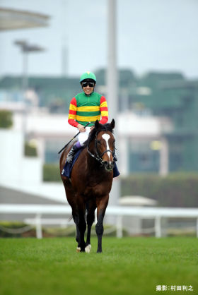 【競馬】パンサラッサ春は全休み、秋は未定も年内で引退の意向