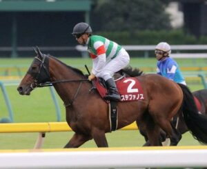 ステファノス産駒がNZ2歳G1勝利した件