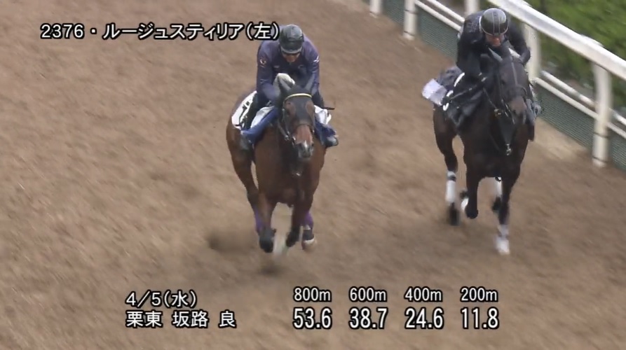 【阪神牝馬ステークス2023】追い切り/抜群の動きを見せたのは