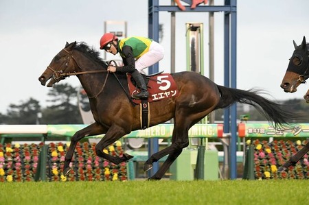 エエヤンは戸崎圭太でＮＨＫマイルカップへ