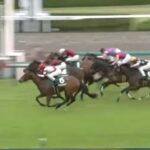【競馬】アーリントンCは武豊騎乗のオオバンブルマイがV