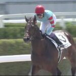 【競馬】京都6R3歳1勝クラス 武豊騎乗のヤマニンウルスが快勝 武豊『和製フライトラインになってほしいね』