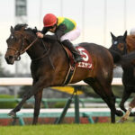 【NZT】2番人気エエヤンが3連勝で重賞初V!1番人気ドルチェモア7着
