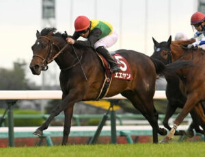 【NZT】2番人気エエヤンが3連勝で重賞初Ｖ！1番人気ドルチェモア７着