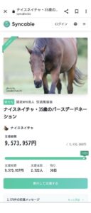【競馬】ナイスネイチャ35歳のバースデードネーションが募集開始から半日も経たず目標額達成