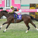 【桜花賞】リバティアイランドが飛ぶ展開