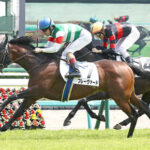 【3歳未勝利】フレーヴァードの末脚ヤバすぎワロタww