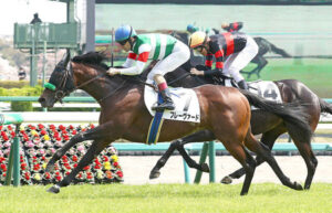 【3歳未勝利】フレーヴァードの末脚ヤバすぎワロタｗｗ