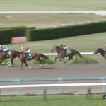 【アンタレスステークス2023】結果・動画/プロミストウォリアが人気に応え押し切る