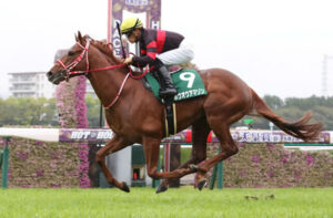 オールエイジドS出走馬確定 ホウオウアマゾンvs豪モーリス産Mazu