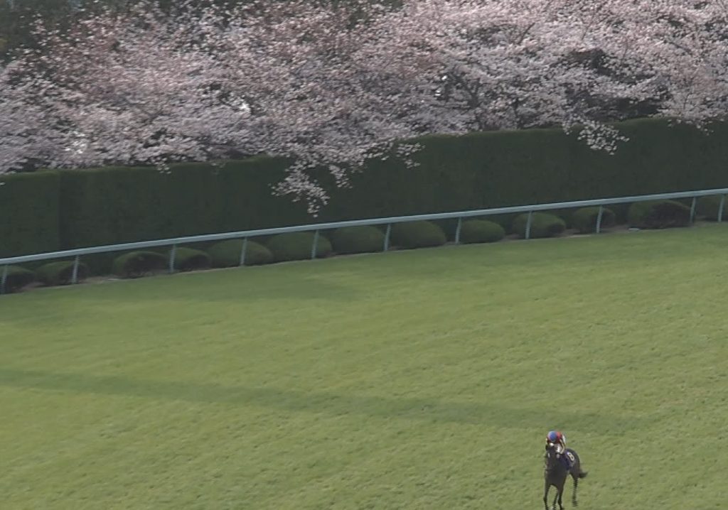 【競馬】ヴェルサイユファームさん、ウマ娘ブームに乗じて都内でグッズを売りまくってしまう