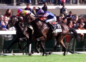 モンジュー、ここに来て日本競馬界にめちゃくちゃ貢献する