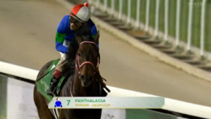 パンサラッサはＧⅠサセックスＳへ