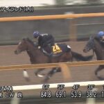 【桜花賞2023】追い切り/調教を見てわかる事