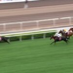 【チェアマンズスプリントプライズ2023】結果・動画/ラッキースワイネスが楽勝