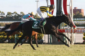 【桜花賞】ライトクオンタム、2レース連続で2番