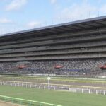 【競馬】矢作調教師「メルボルンの足元検査は厳しすぎる、シドニーにはどんどん遠征したい」