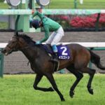 【中山グランドJ】1番人気ニシノデイジーとは何だったのか