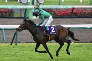 【中山グランドJ】1番人気ニシノデイジーとは何だったのか