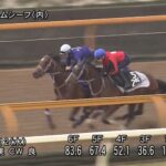 【皐月賞2023】追い切り/調教を見てわかる事