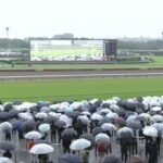 【競馬】JG1中山グランドジャンプを九州産馬のイロゴトシがV