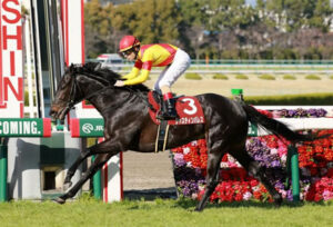 【競馬予想】[3]第167回天皇賞(春)(GⅠ) /2023