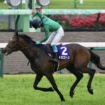 ディープ孫最高傑作はラウダシオンかイロゴトシか