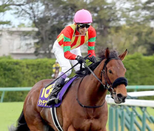 【皐月賞】13着タッチウッド武豊ｗｗｗｗ