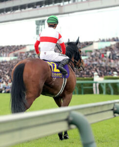 ダノンタッチダウン最下位18着www