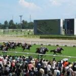 いざ競馬場行っても馬全く見えなくないか?
