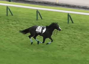 ダービー落馬のドゥラエレーデ宝塚記念へ