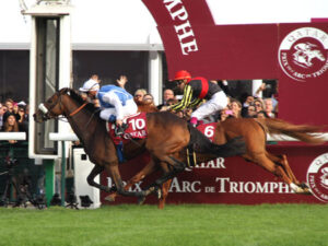 タイトルホルダーとクロノ負けてから凱旋門諦めた奴がかなり増えたよな？