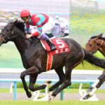 キズナ種牡馬大成功 Part2