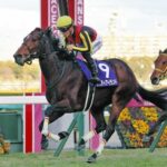 オークスでのリバティアイランドが危険な要素