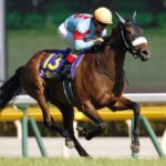リバティアイランドとアーモンドアイってどっちが強いと思う?