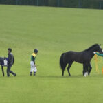 タイトルホルダー栗田調教師「熱感などなく腱もしっかり」今週精密検査へ