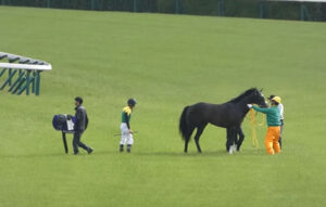 タイトルホルダー栗田調教師「熱感などなく腱もしっかり」今週精密検査へ