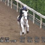 【安田記念2023】追い切り/調教を見てわかる事