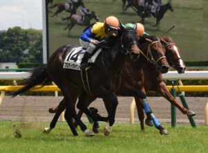 【競馬】メイケイエール、ヴィクトリアマイル回避