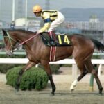 最高のオークス馬といえば