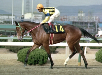 最高のオークス馬といえば