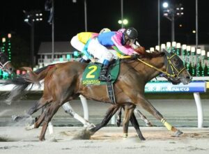 【かしわ記念】メイショウハリオ強すぎワロタｗｗｗ