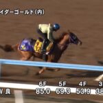 【新潟大賞典2023】追い切り/動きを見極め勝利に近づけ